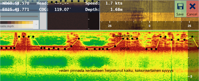 Vesikasvien aiheuttama kaiku